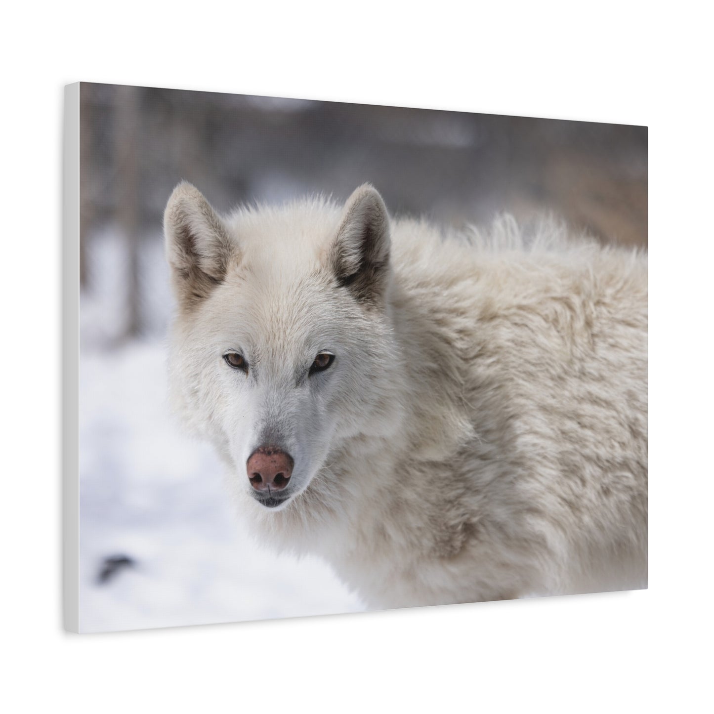 Annie Canvas Print