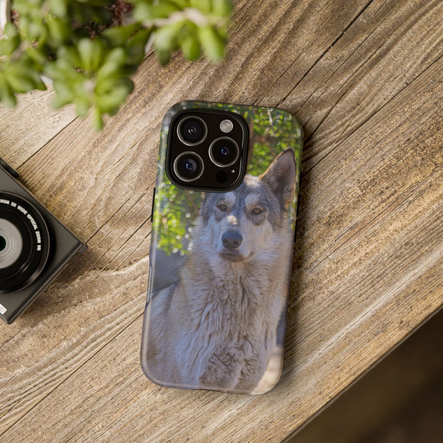 Rome Phone Case