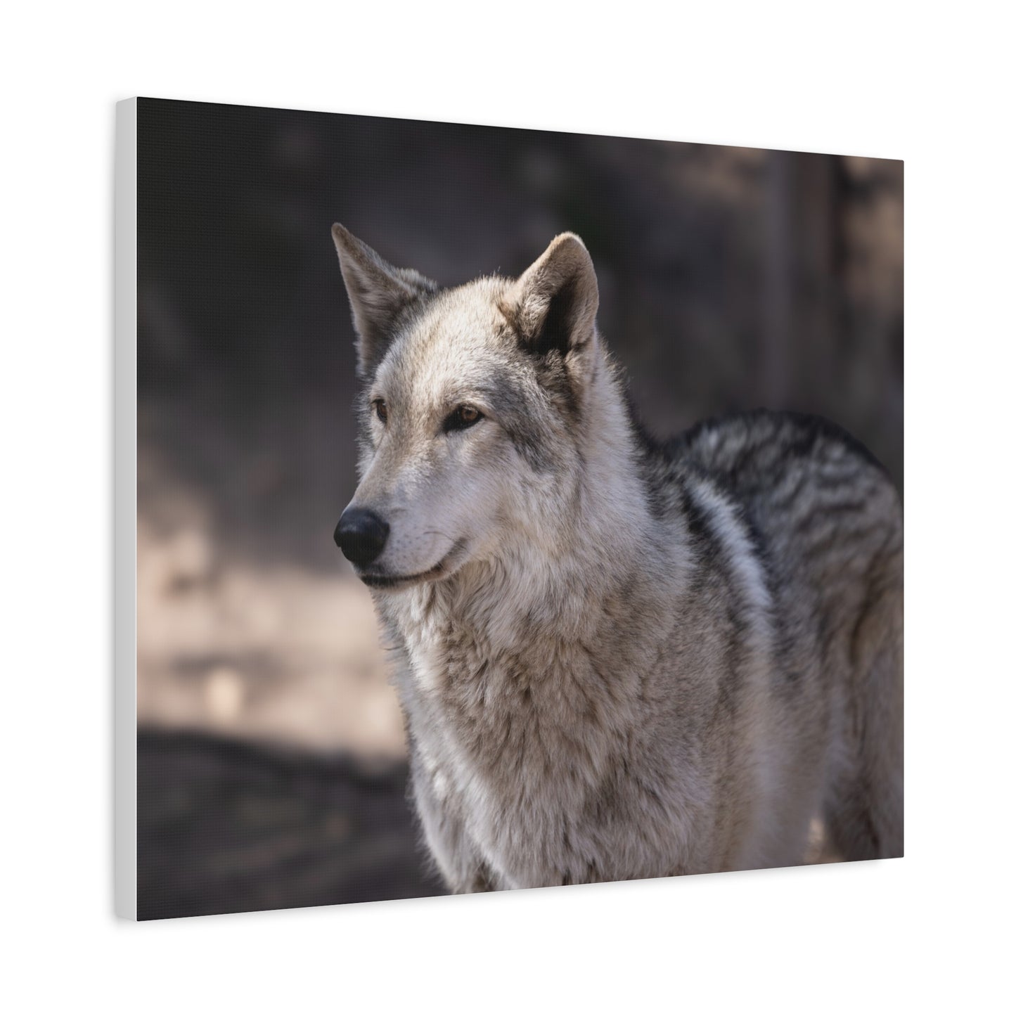 Torben Canvas Print