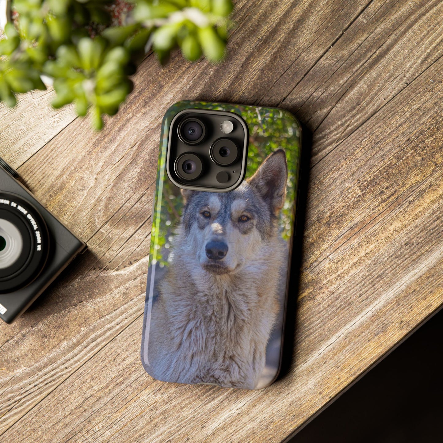Rome Phone Case