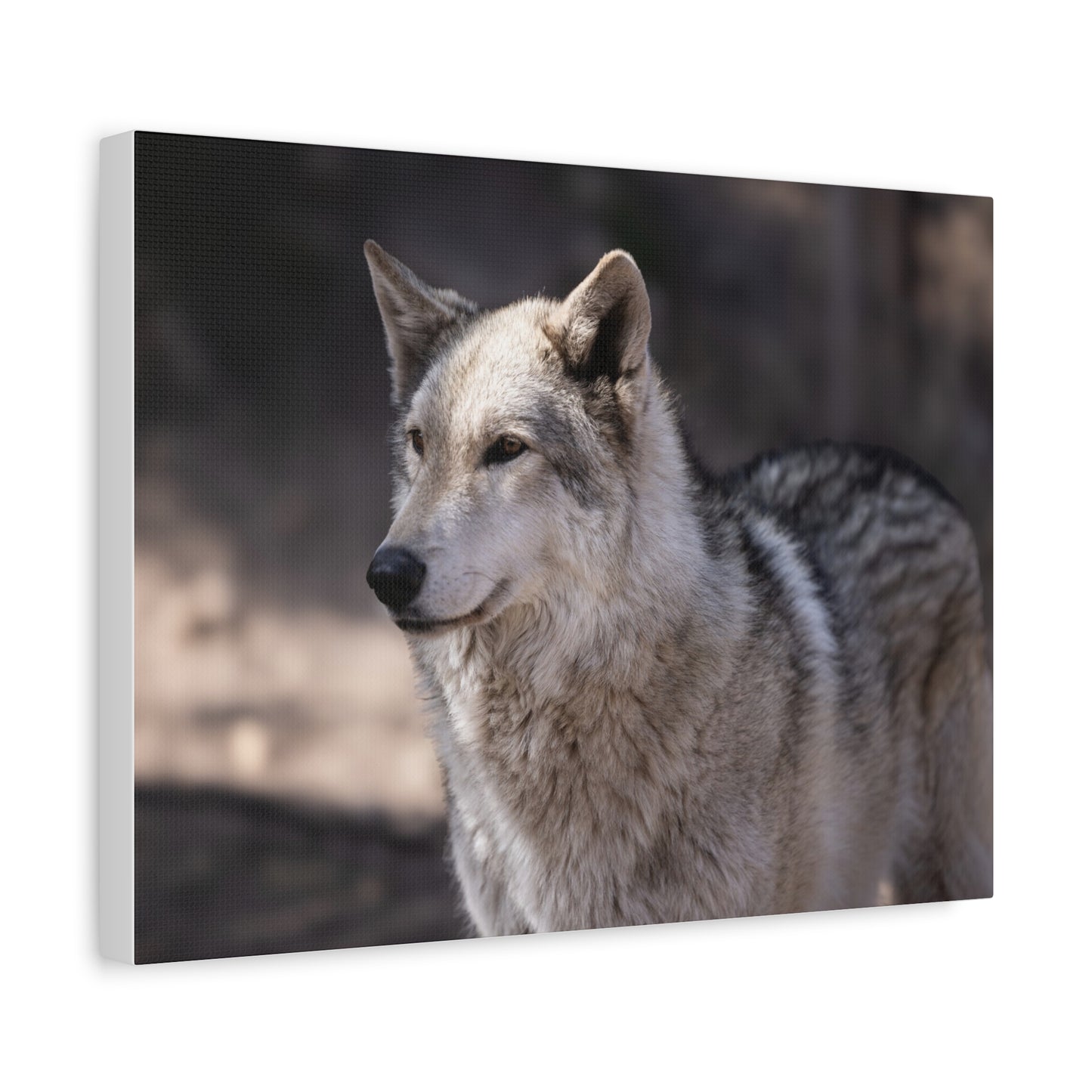 Torben Canvas Print