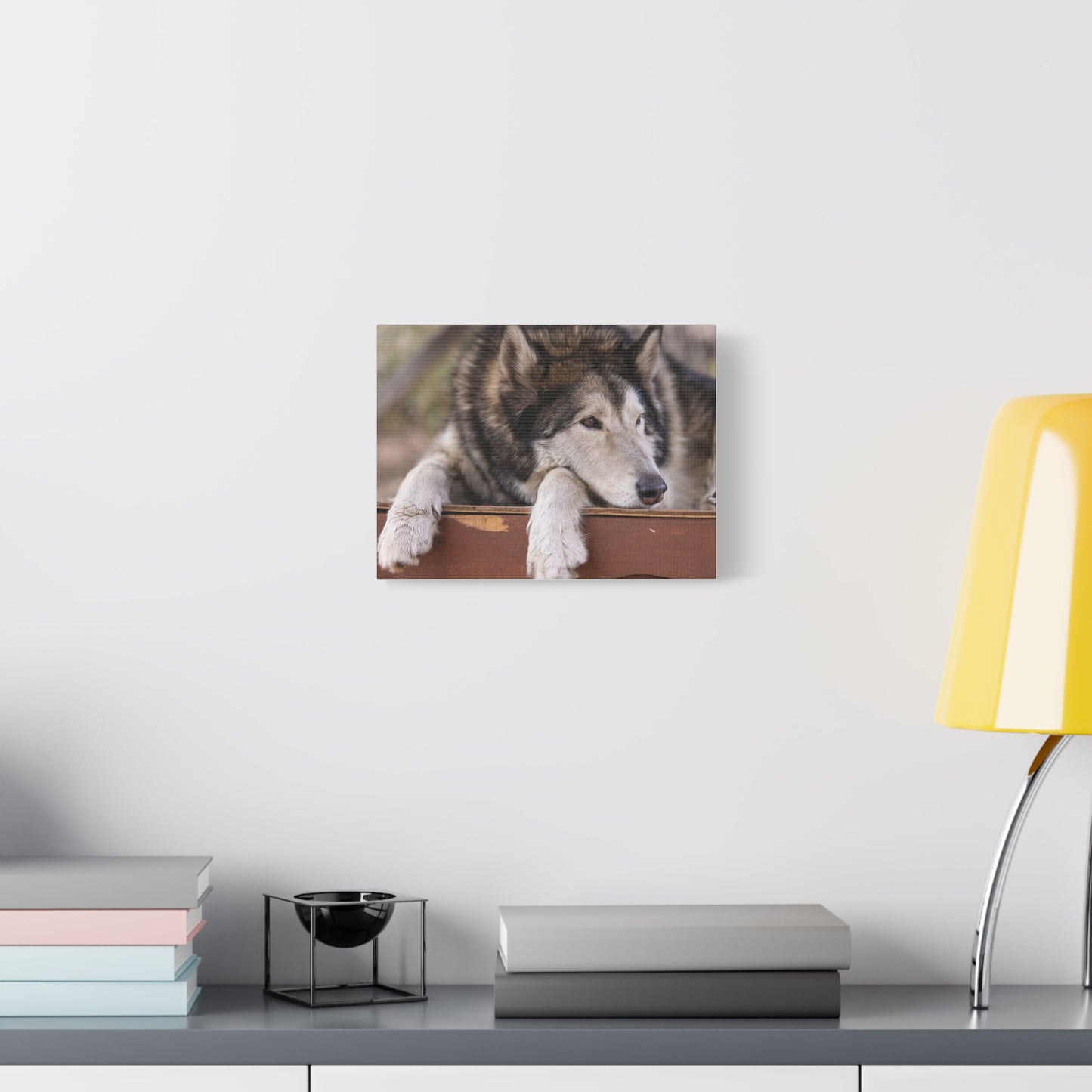 Wolfee Canvas Print