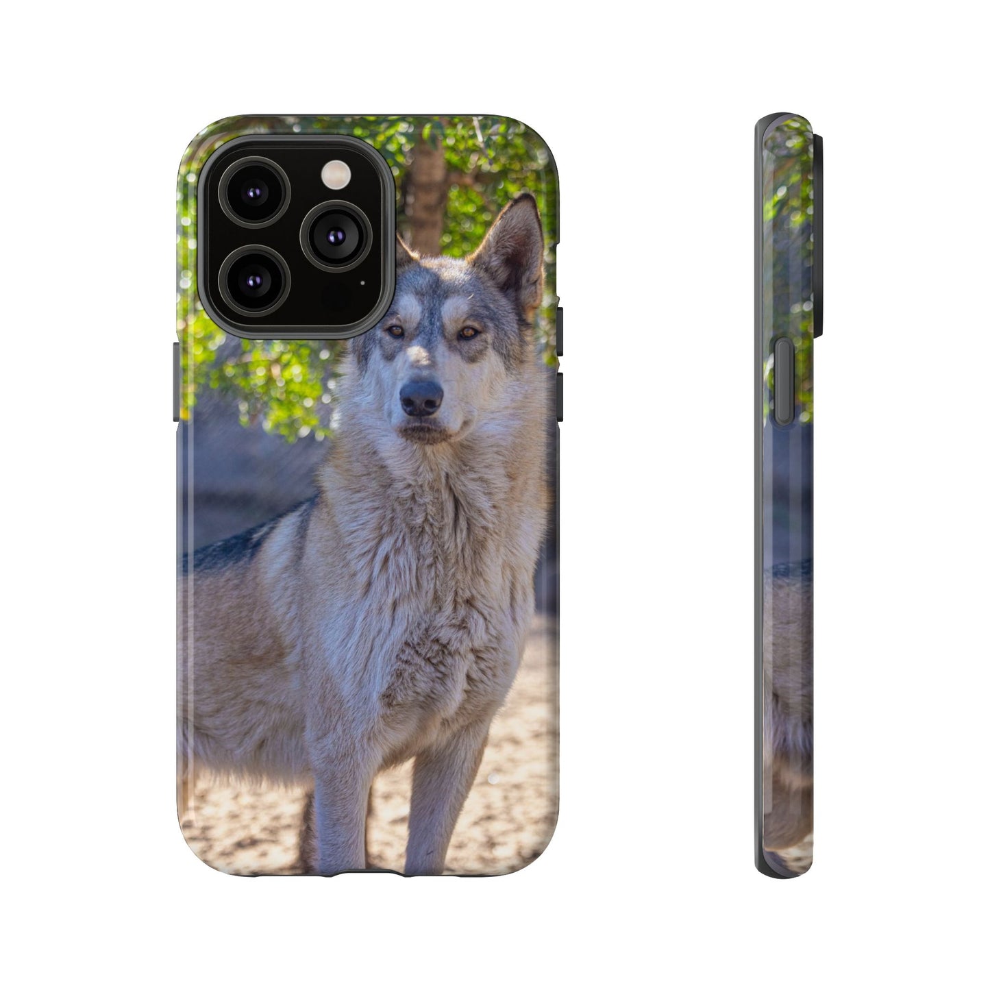 Rome Phone Case