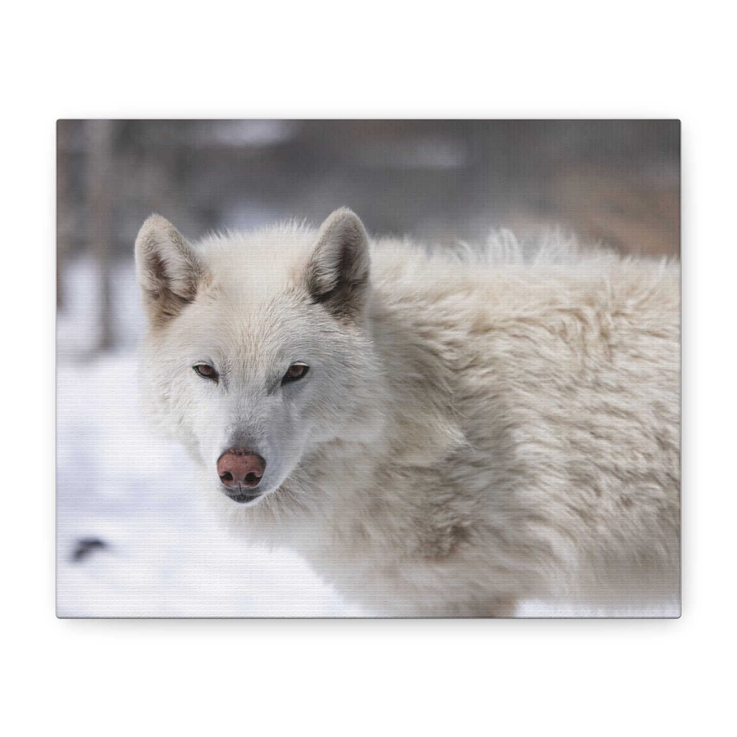 Annie Canvas Print