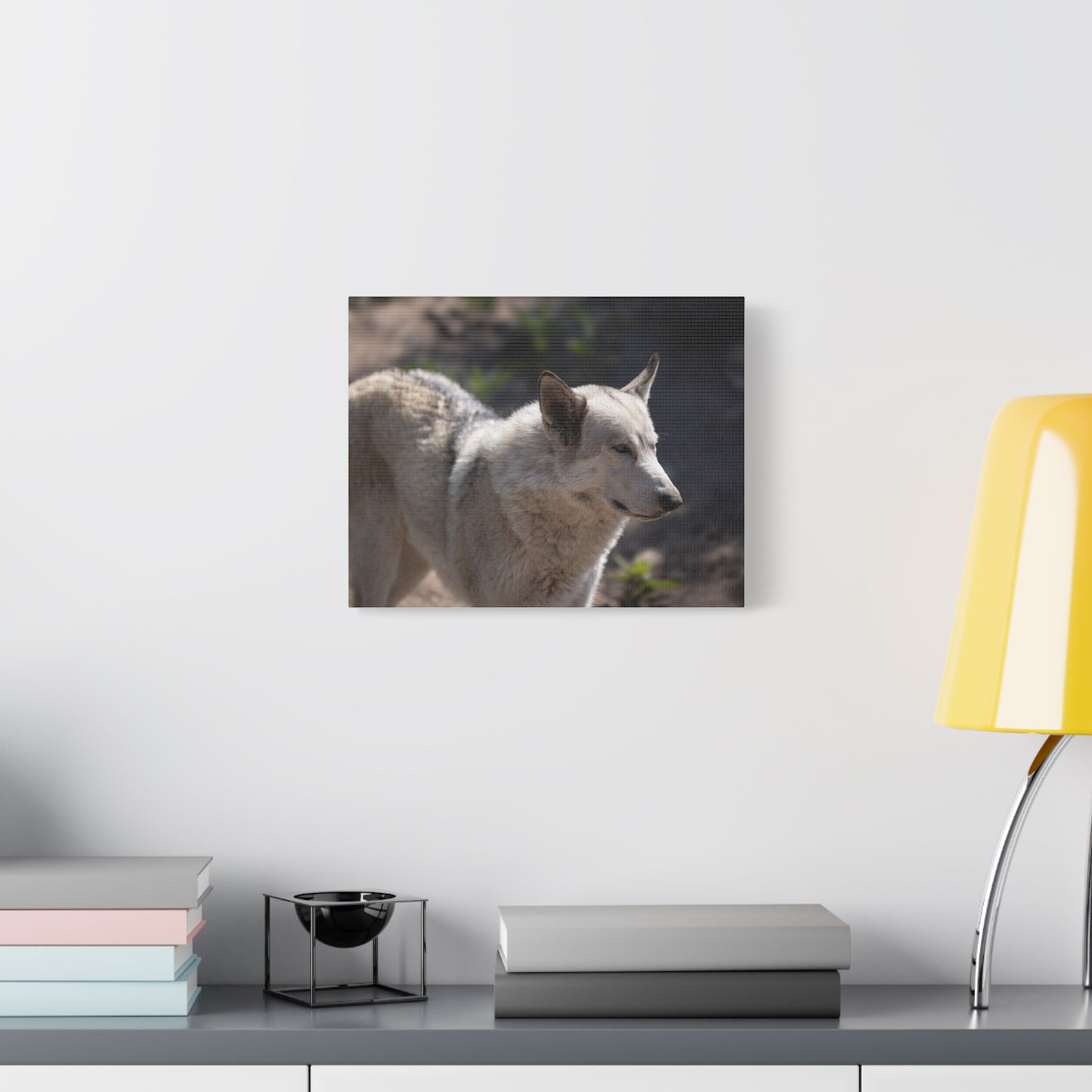 Beo Canvas Print