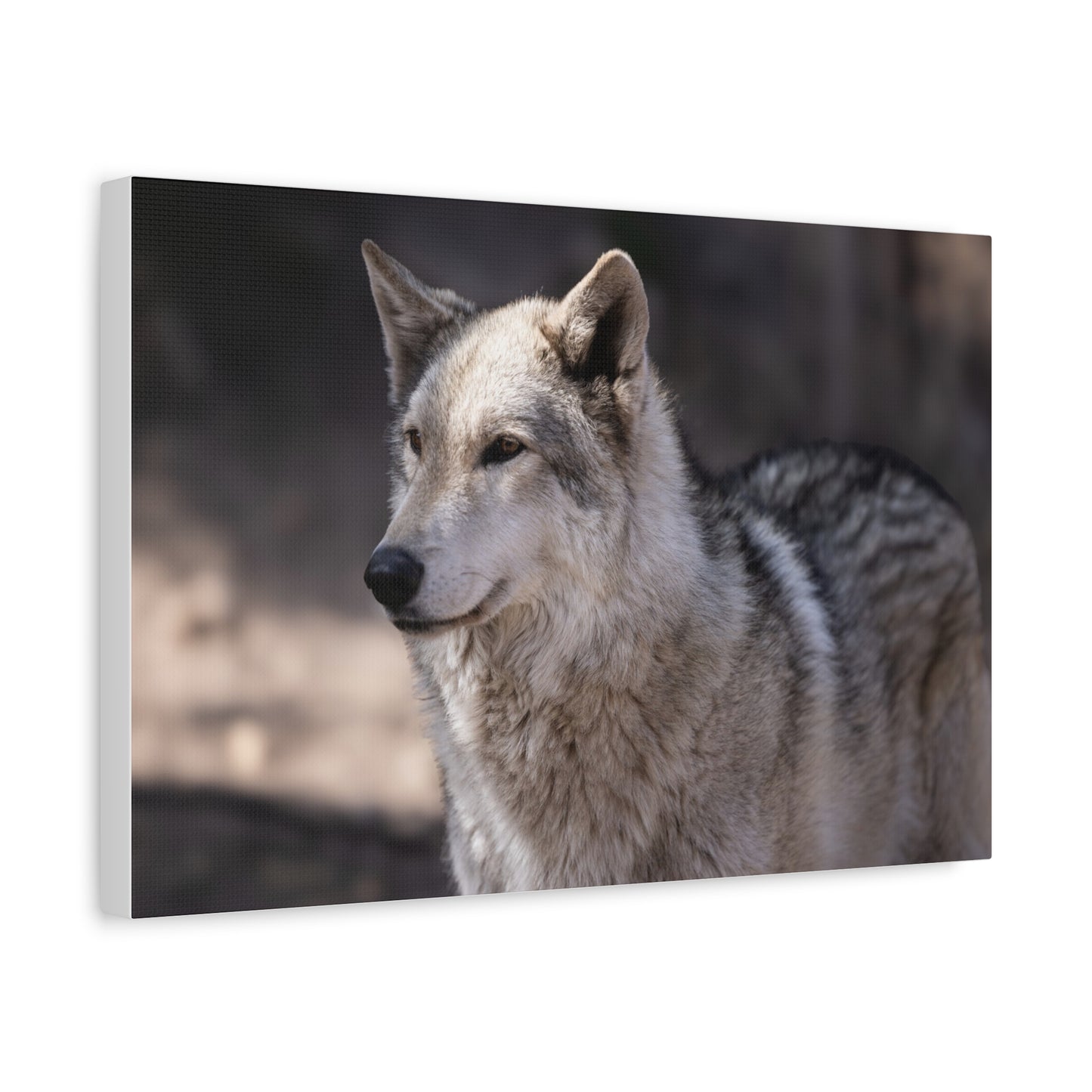 Torben Canvas Print