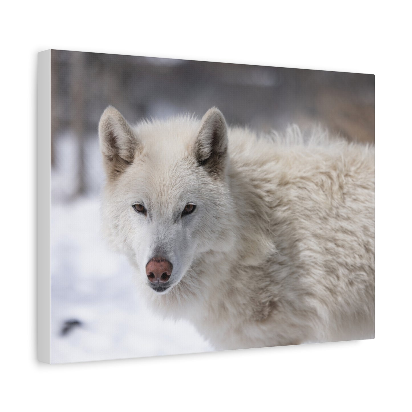 Annie Canvas Print