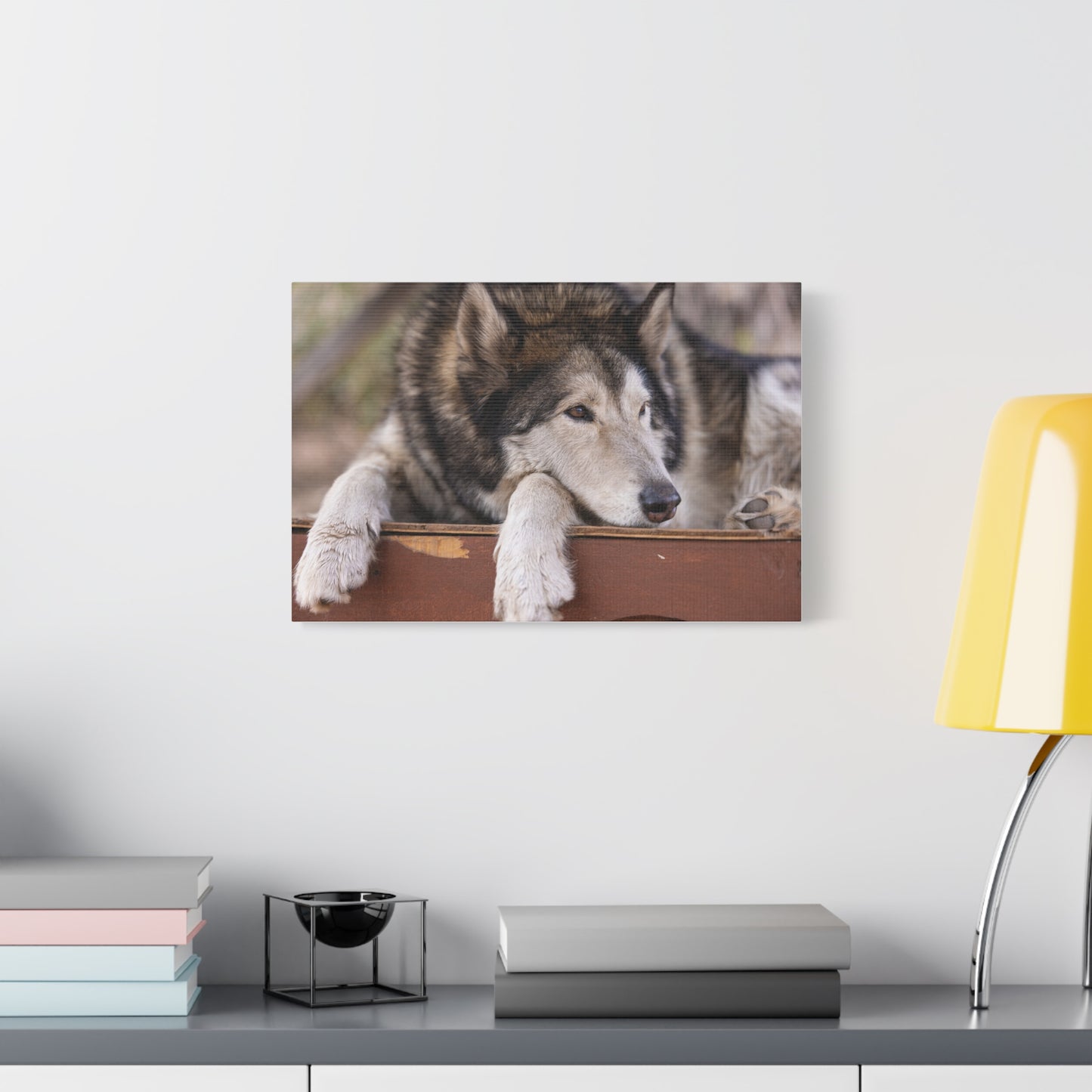 Wolfee Canvas Print