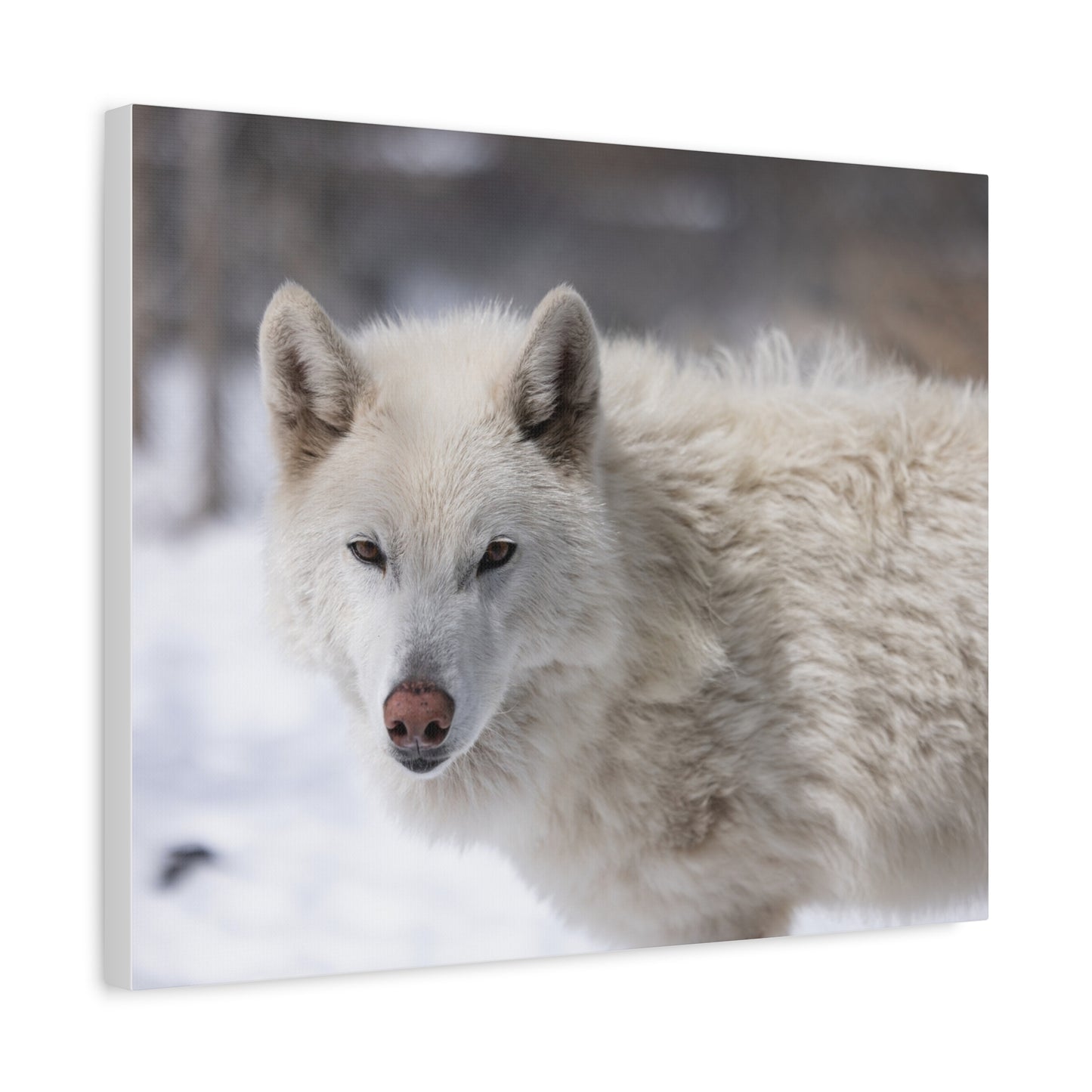 Annie Canvas Print