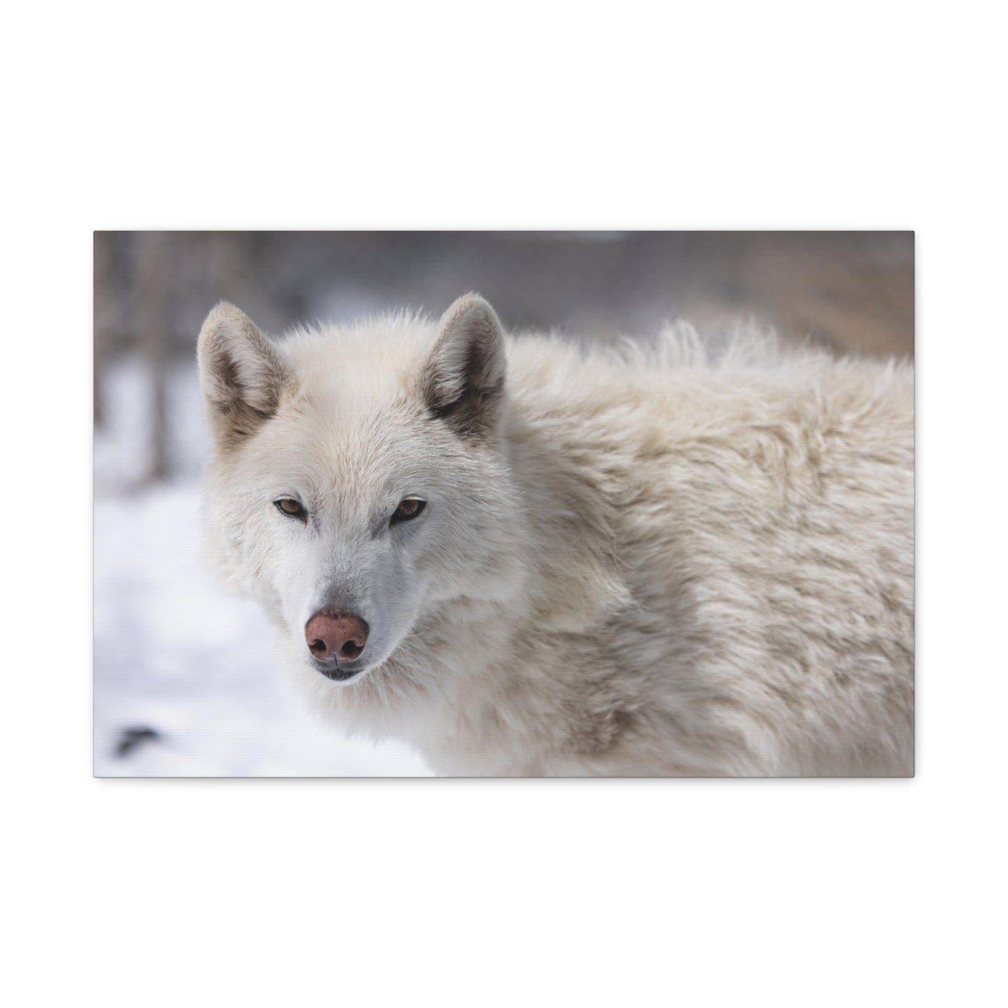 Annie Canvas Print