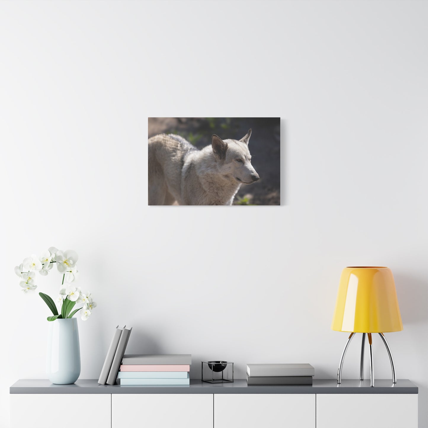 Beo Canvas Print