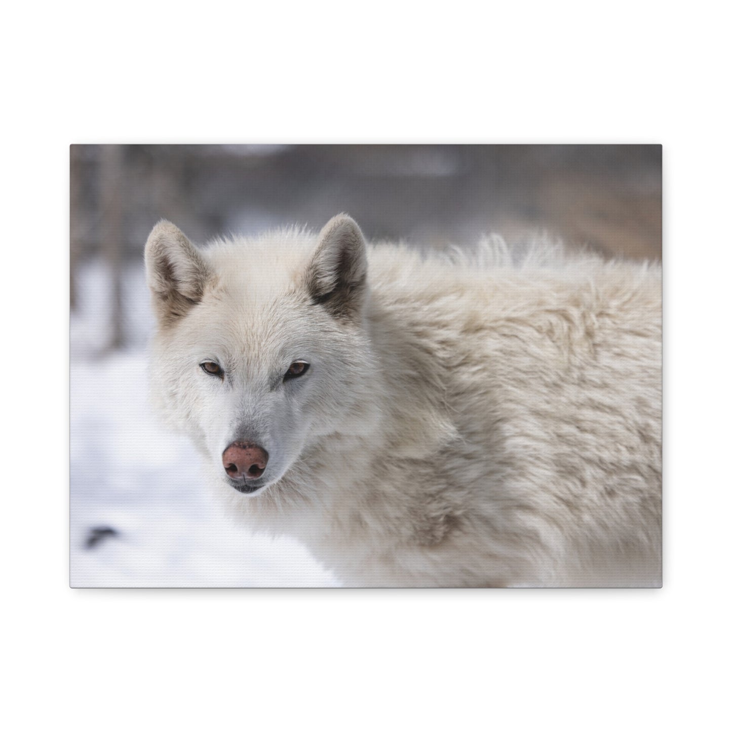 Annie Canvas Print