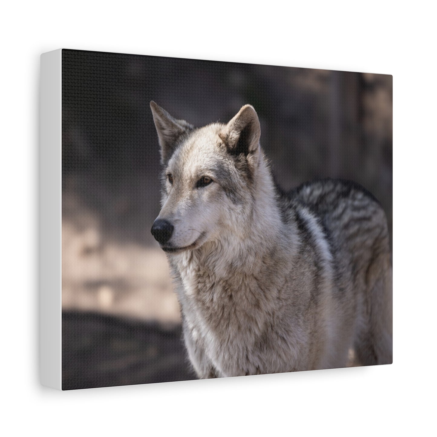 Torben Canvas Print