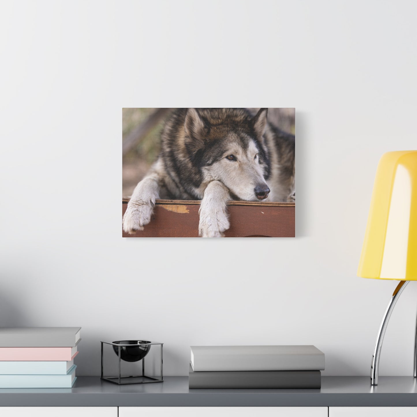 Wolfee Canvas Print