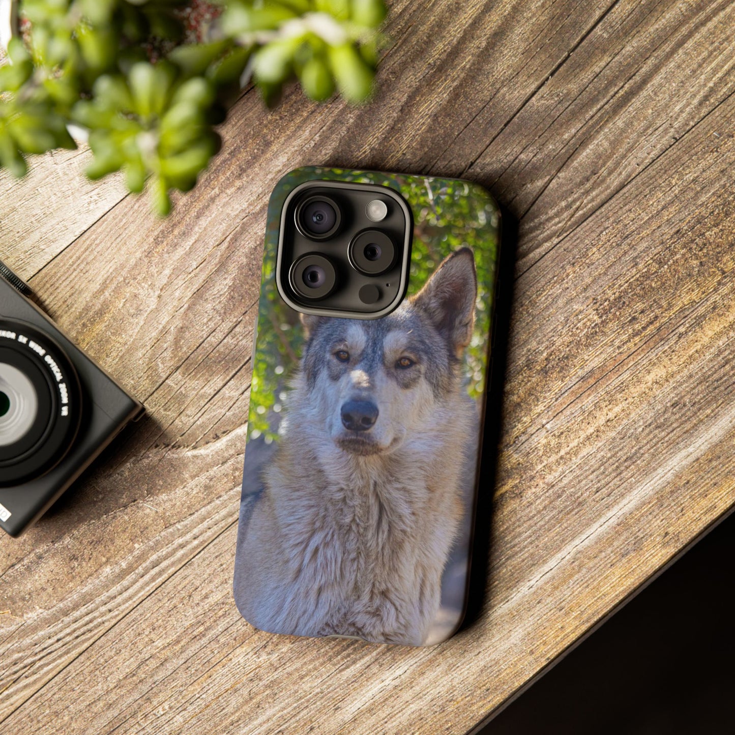 Rome Phone Case