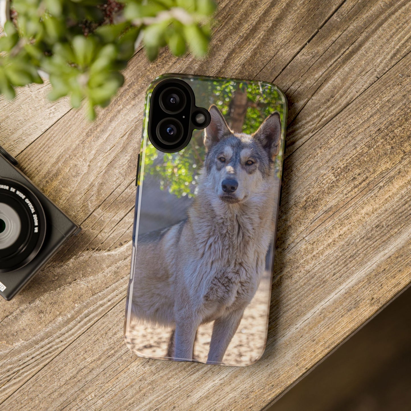 Rome Phone Case