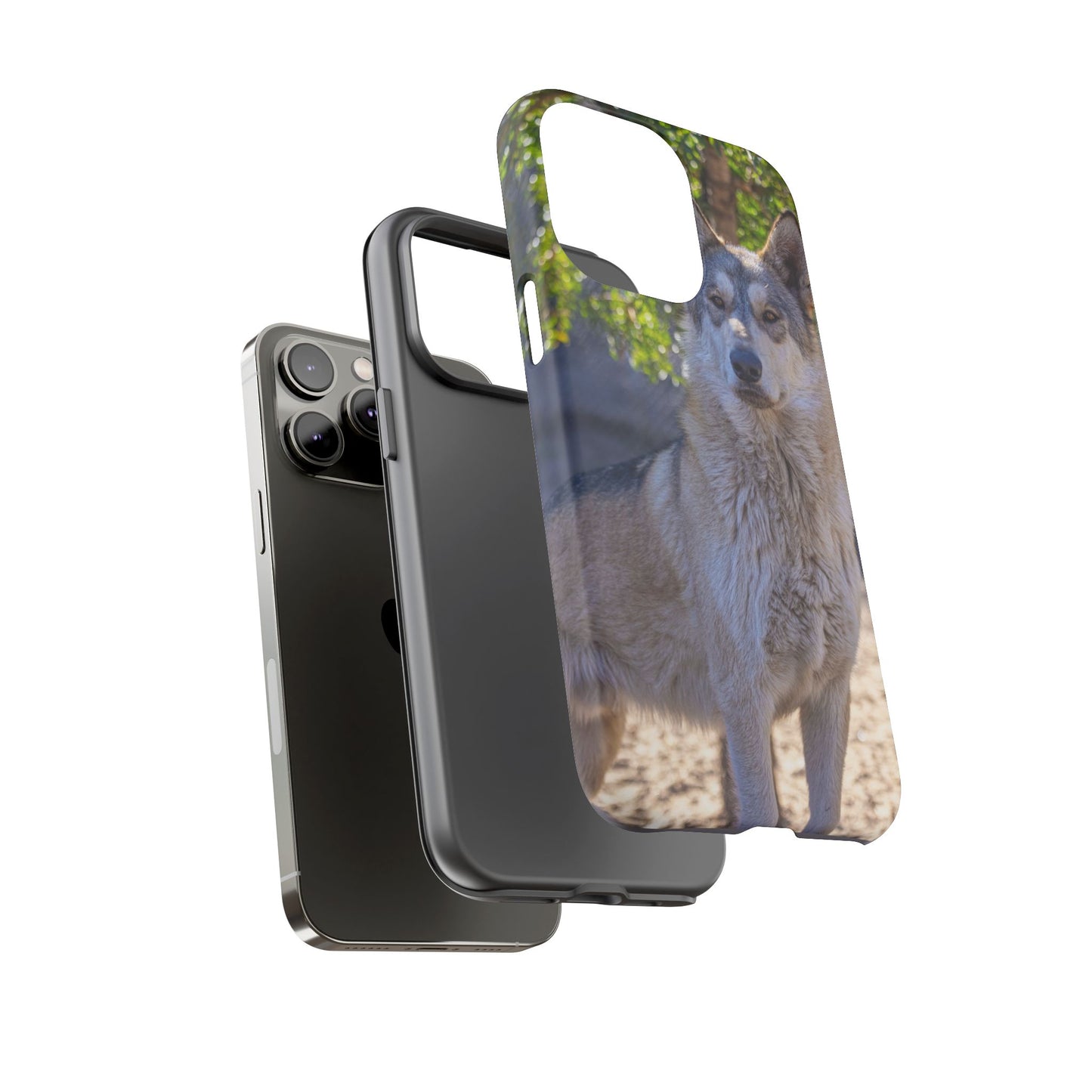 Rome Phone Case