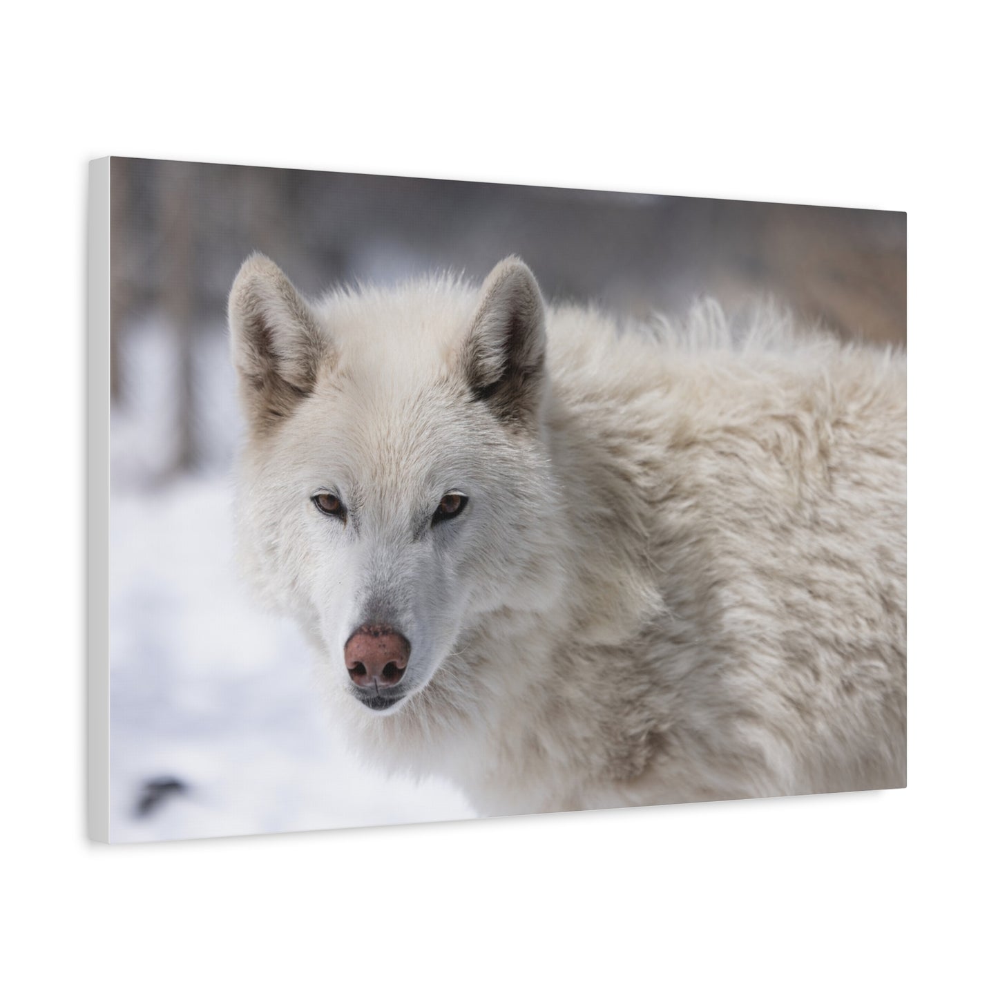 Annie Canvas Print
