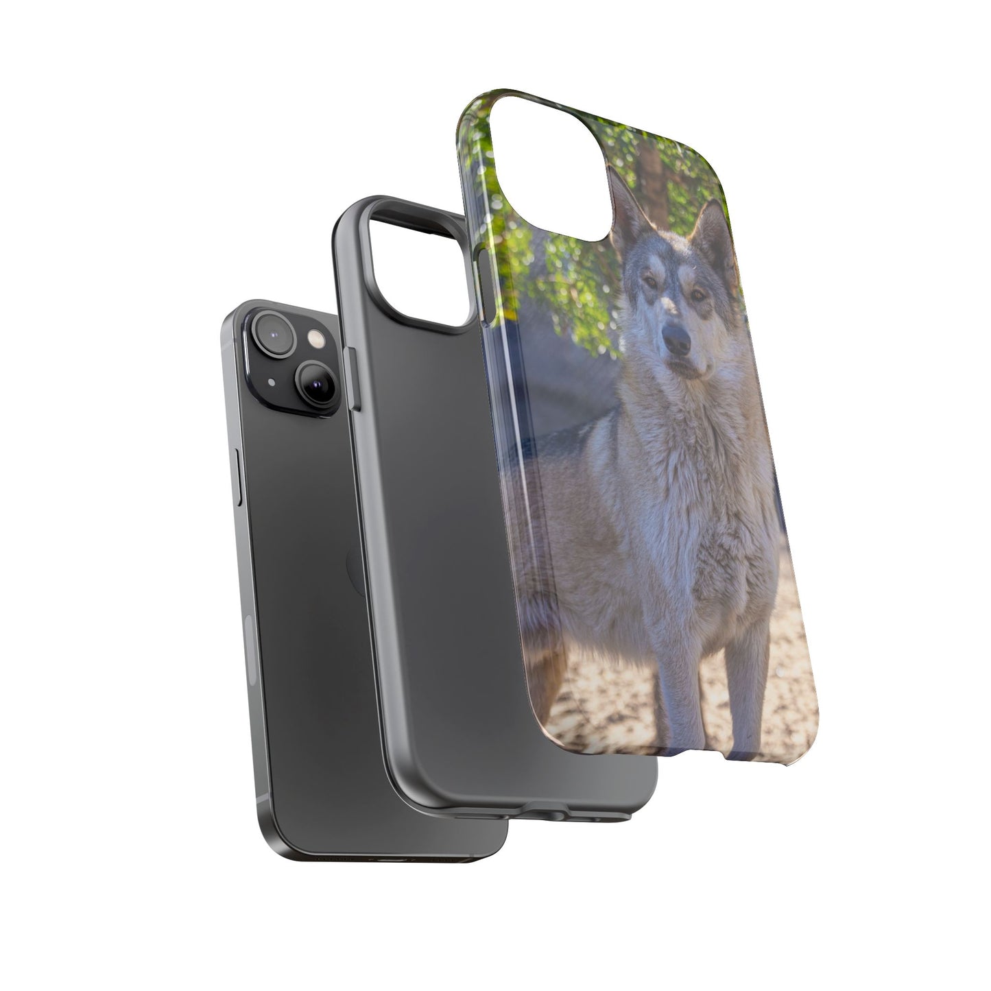 Rome Phone Case
