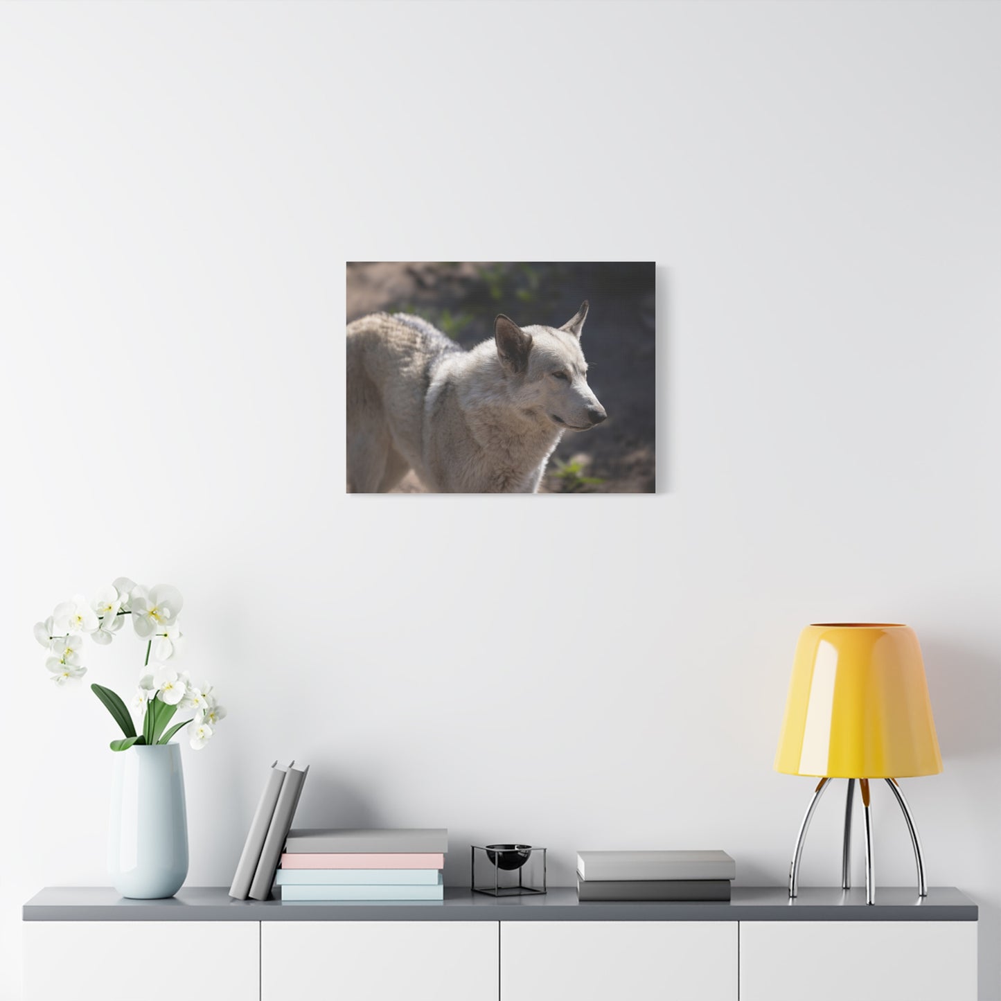 Beo Canvas Print