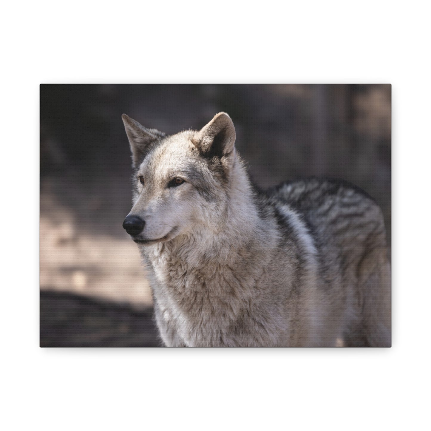 Torben Canvas Print