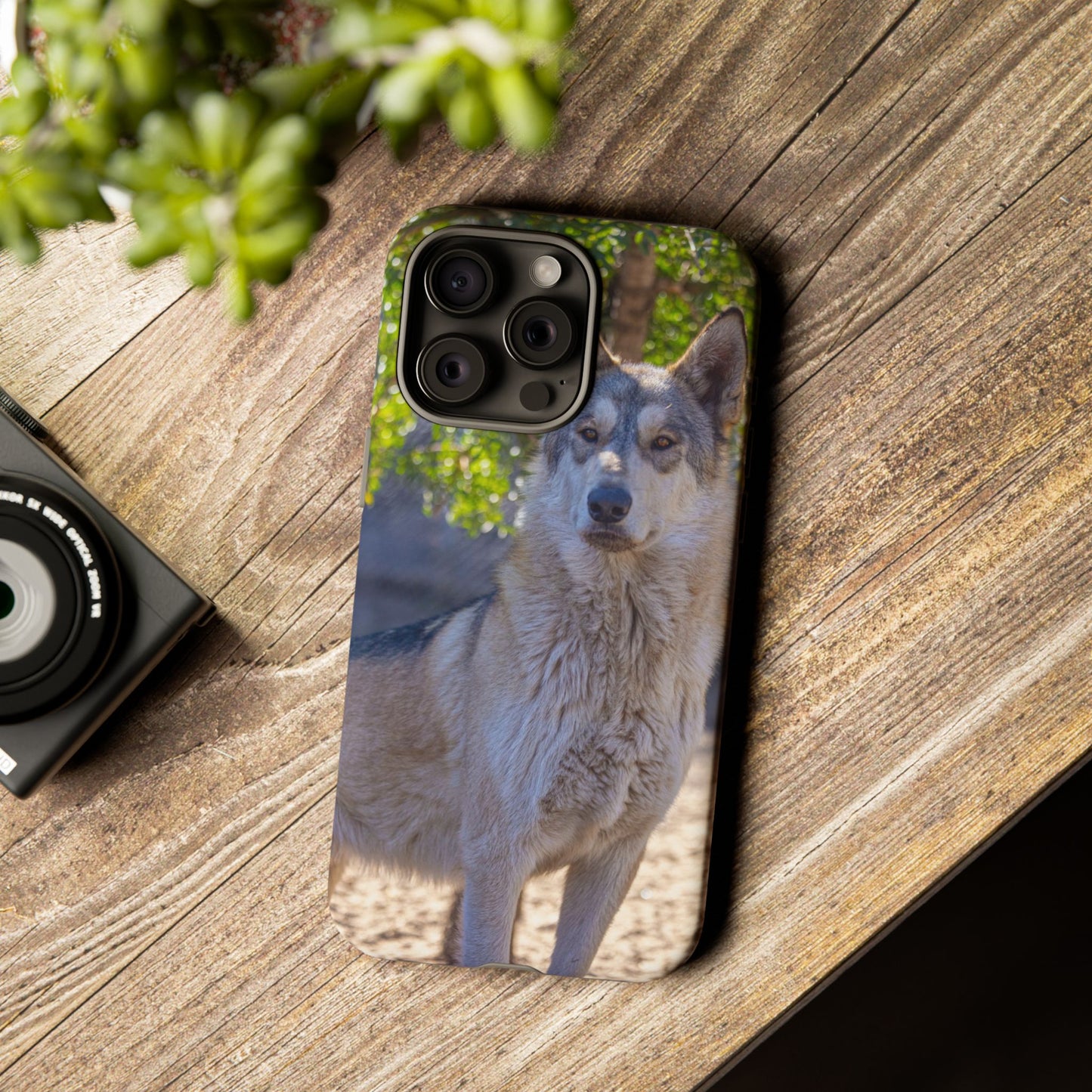 Rome Phone Case