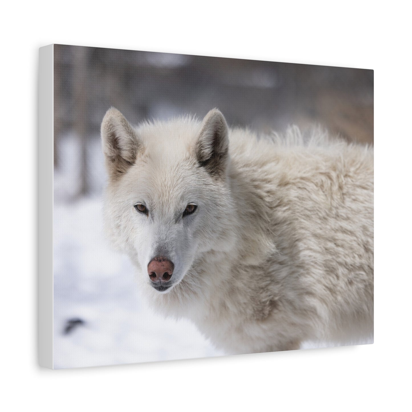 Annie Canvas Print