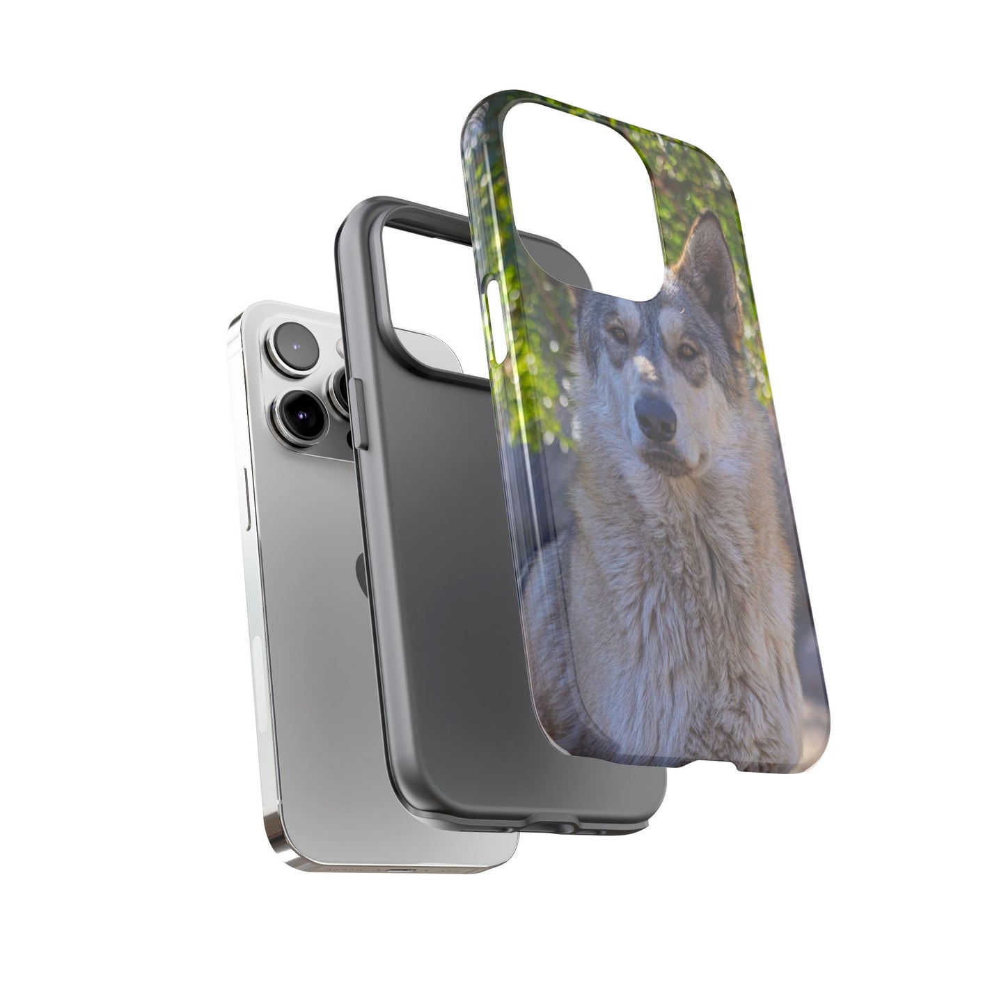 Rome Phone Case