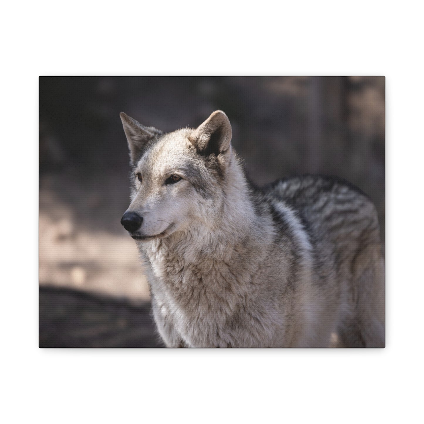 Torben Canvas Print