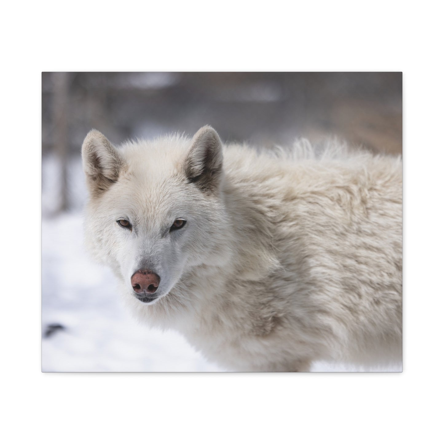 Annie Canvas Print