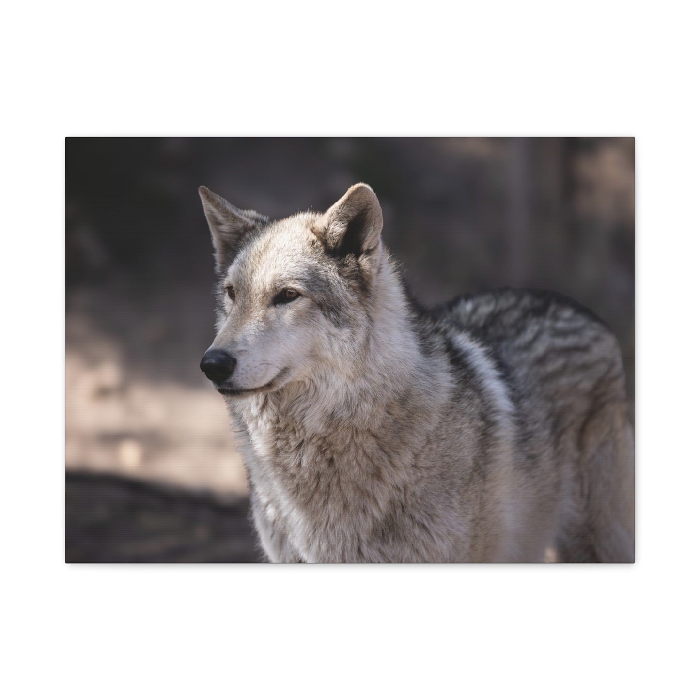 Torben Canvas Print