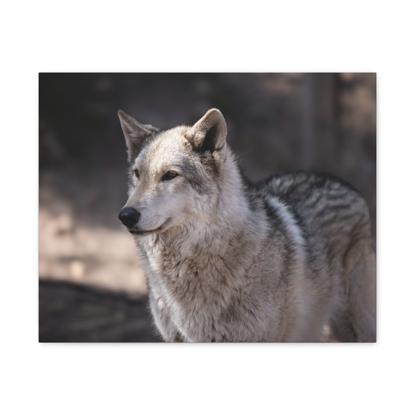 Torben Canvas Print