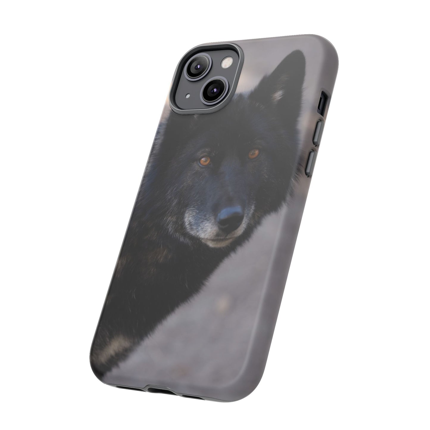 Lakota Phone Case
