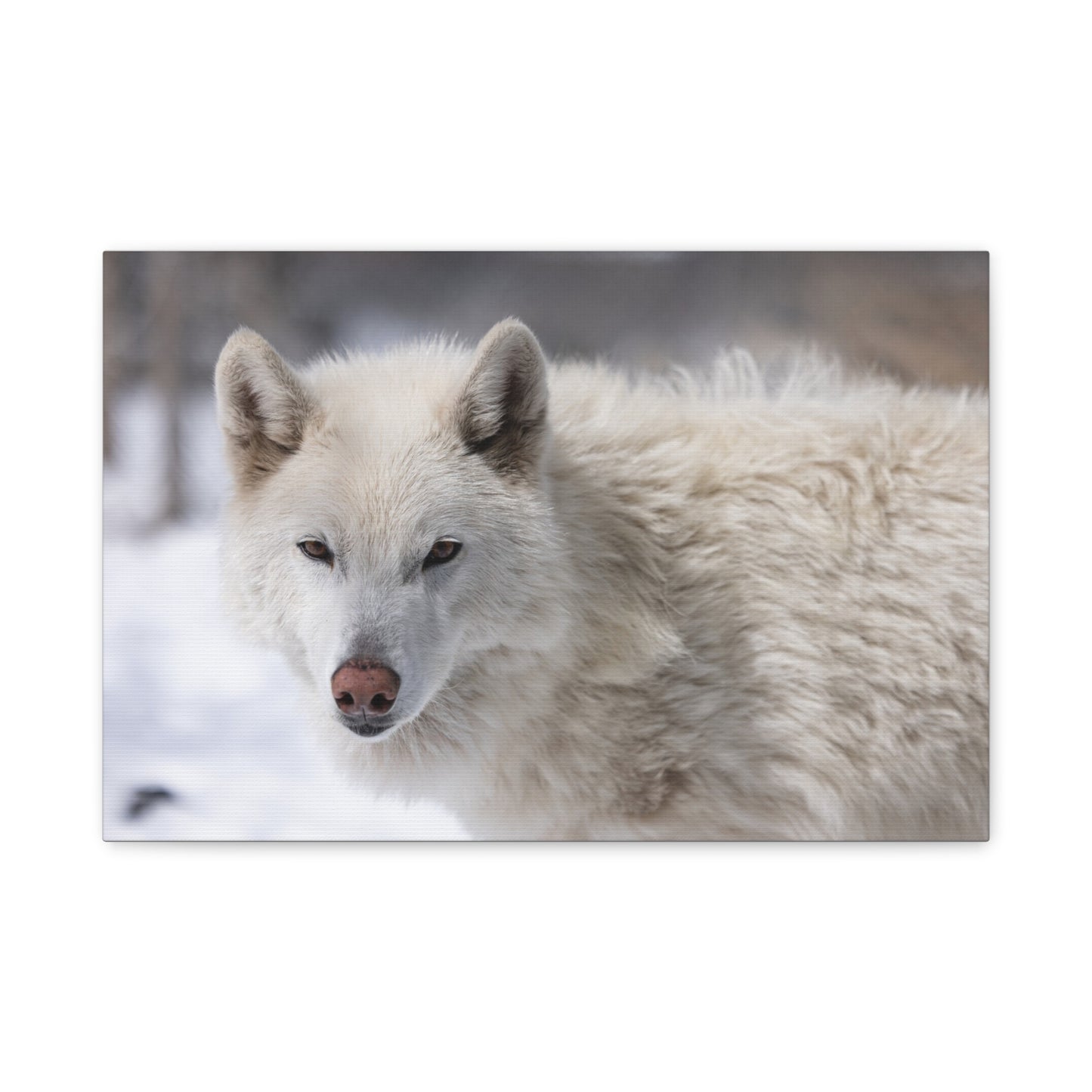 Annie Canvas Print