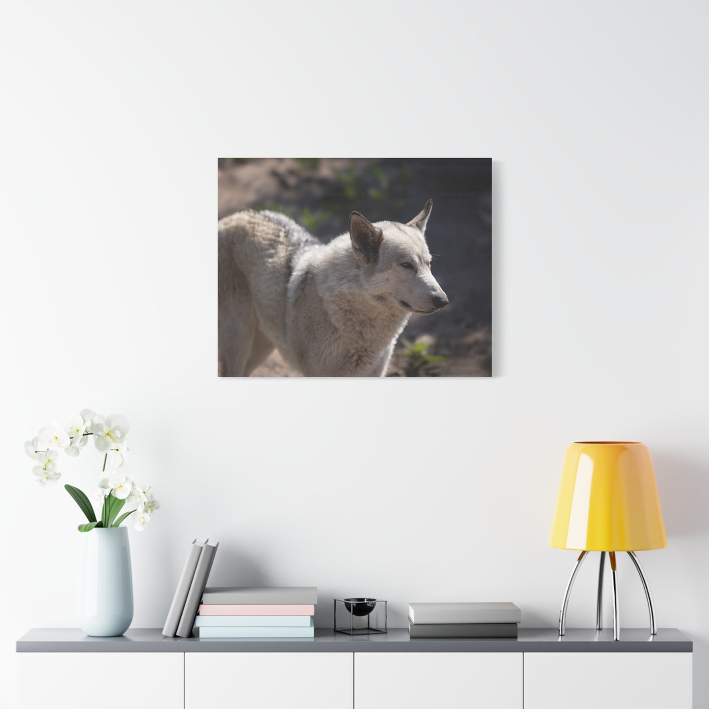 Beo Canvas Print
