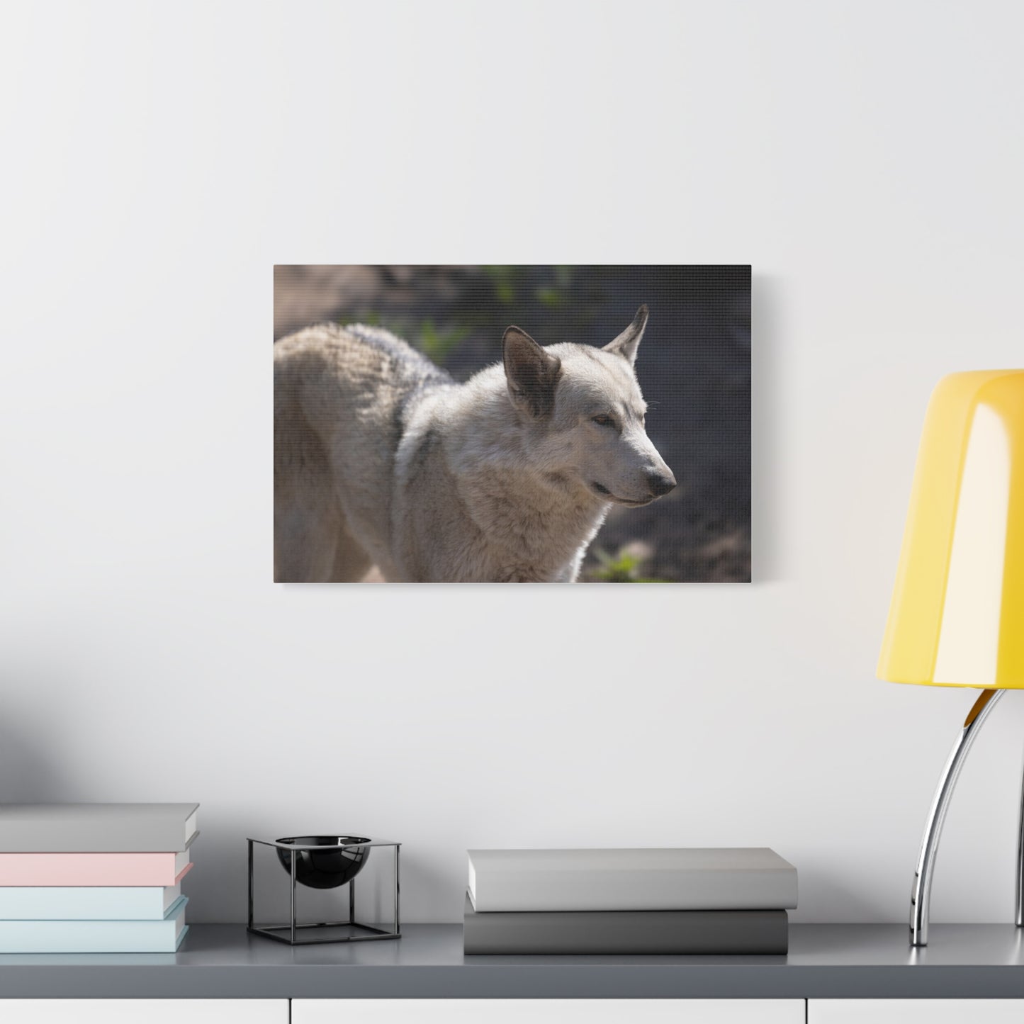 Beo Canvas Print