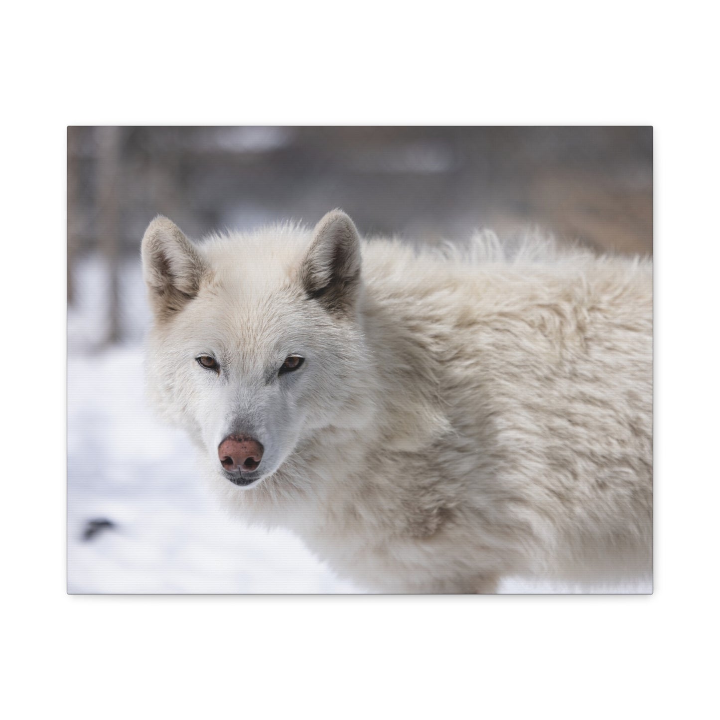 Annie Canvas Print