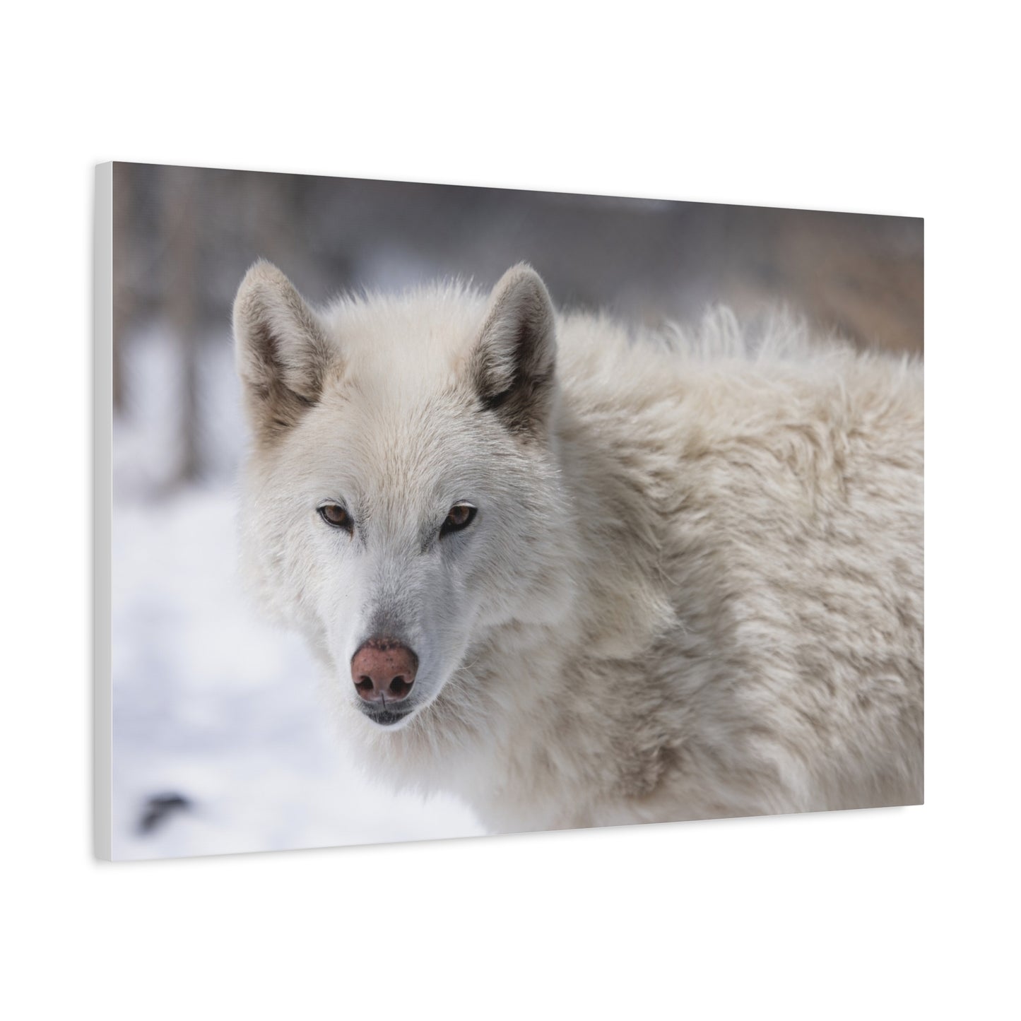 Annie Canvas Print