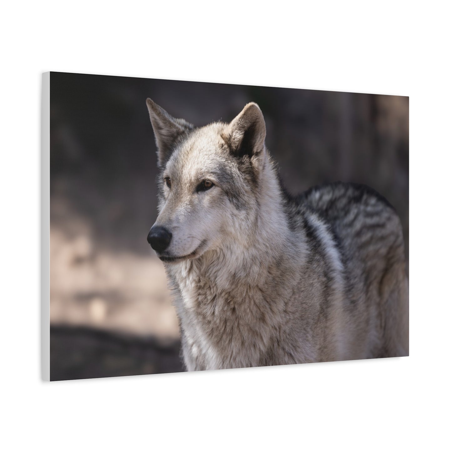 Torben Canvas Print