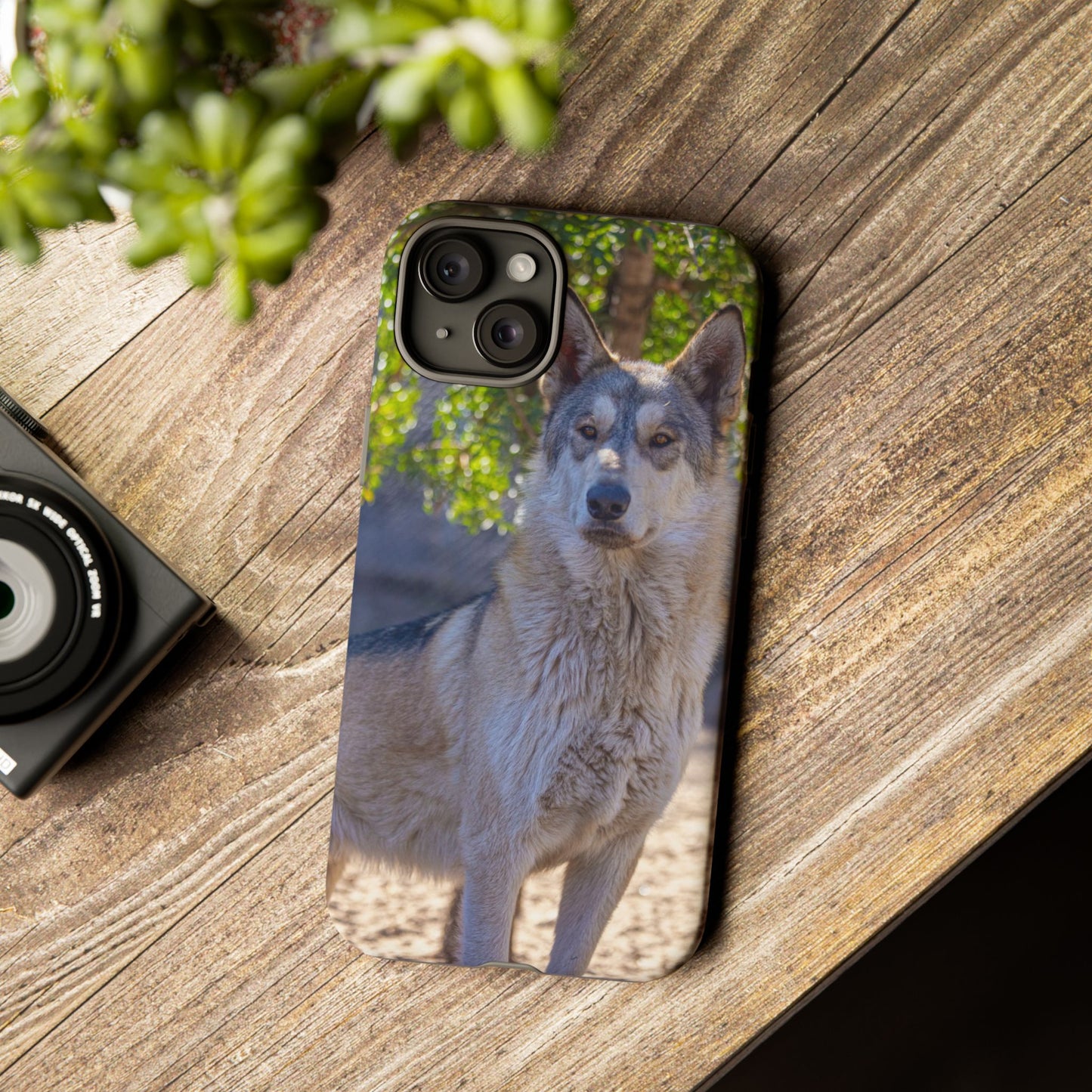 Rome Phone Case