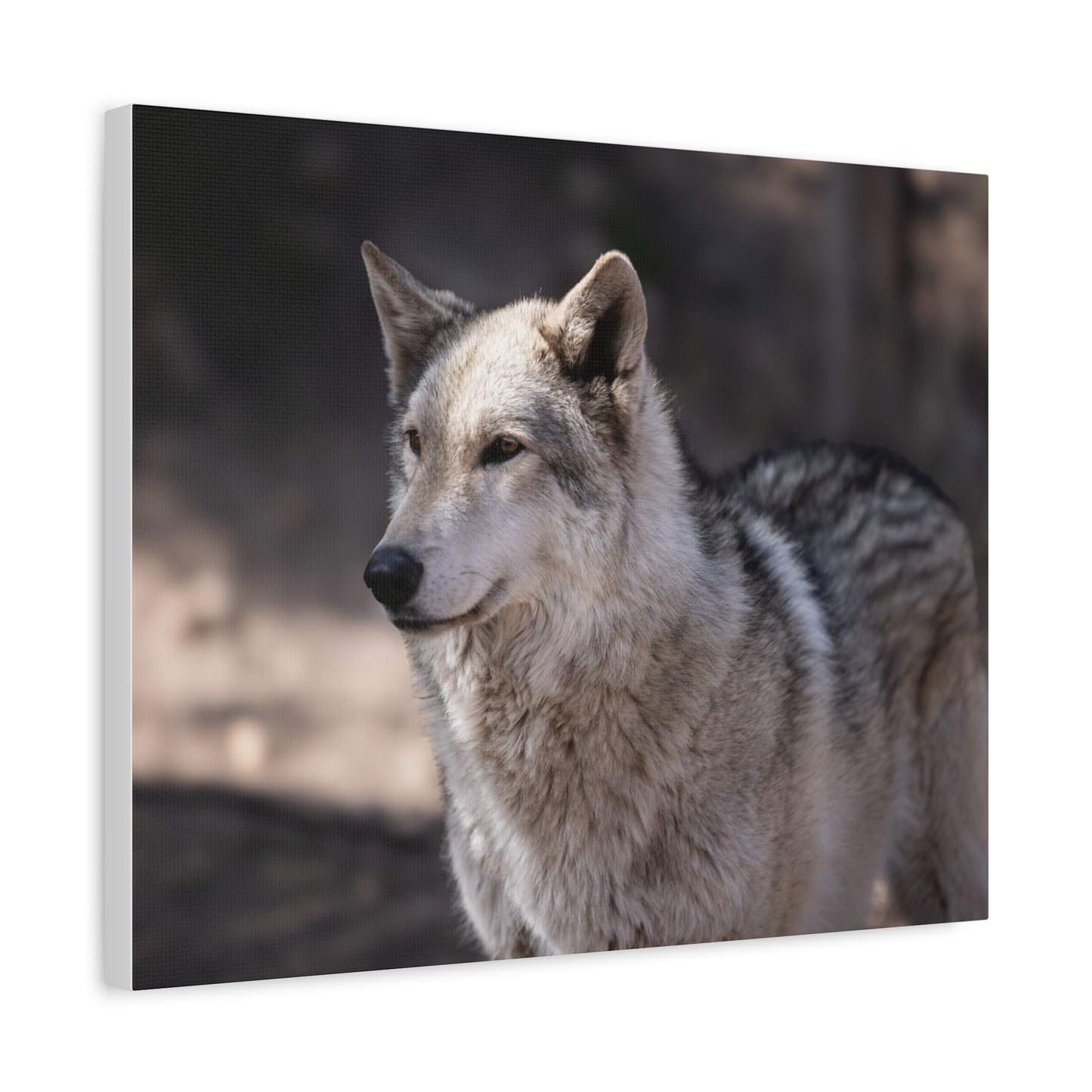 Torben Canvas Print