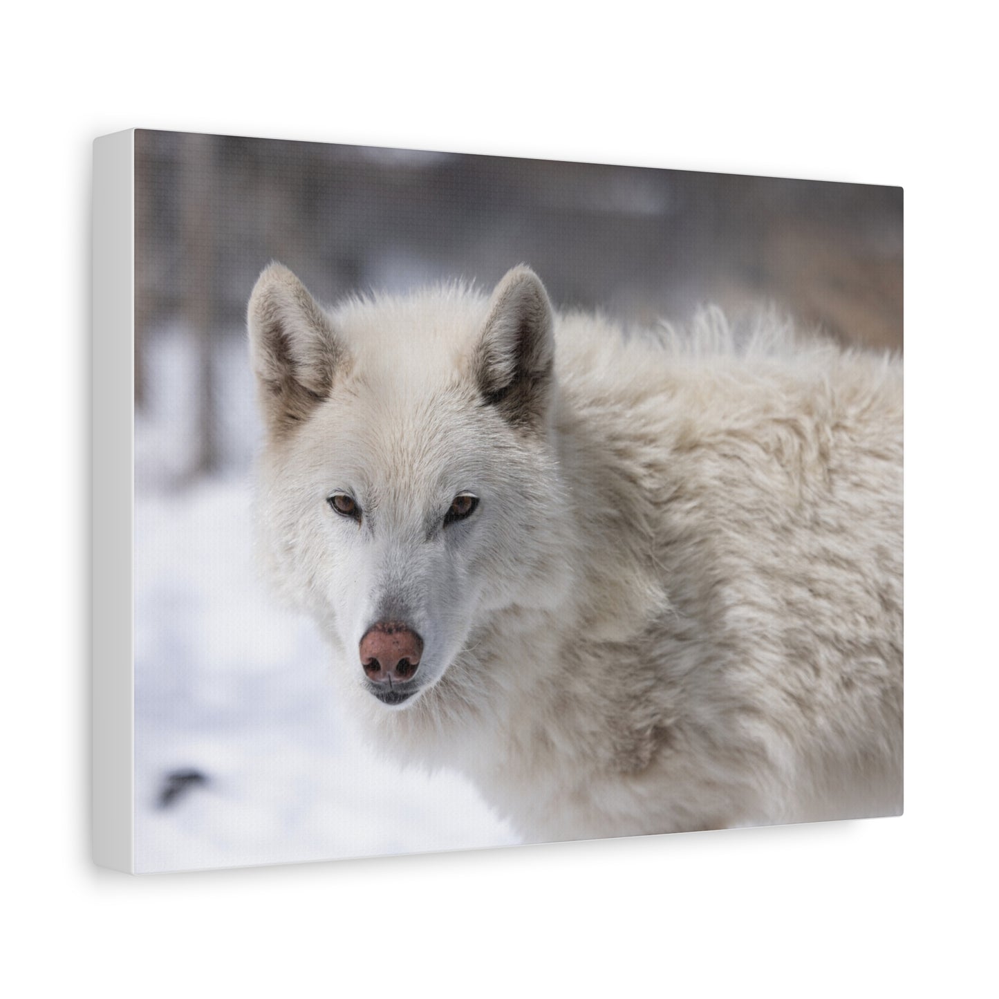 Annie Canvas Print
