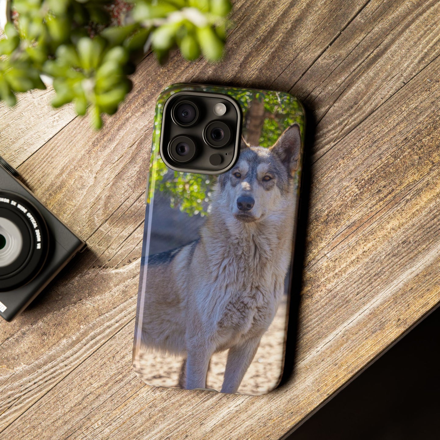 Rome Phone Case
