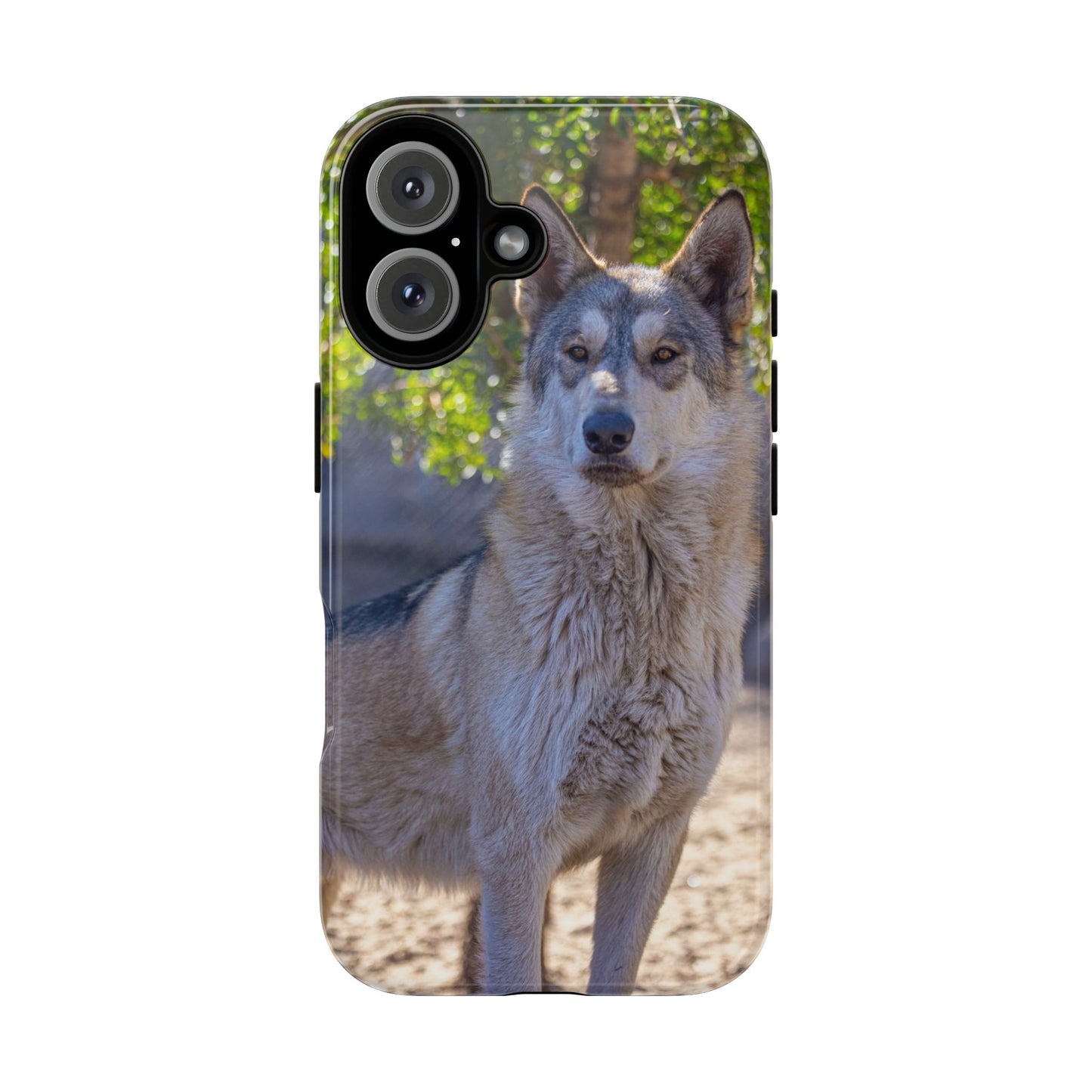 Rome Phone Case