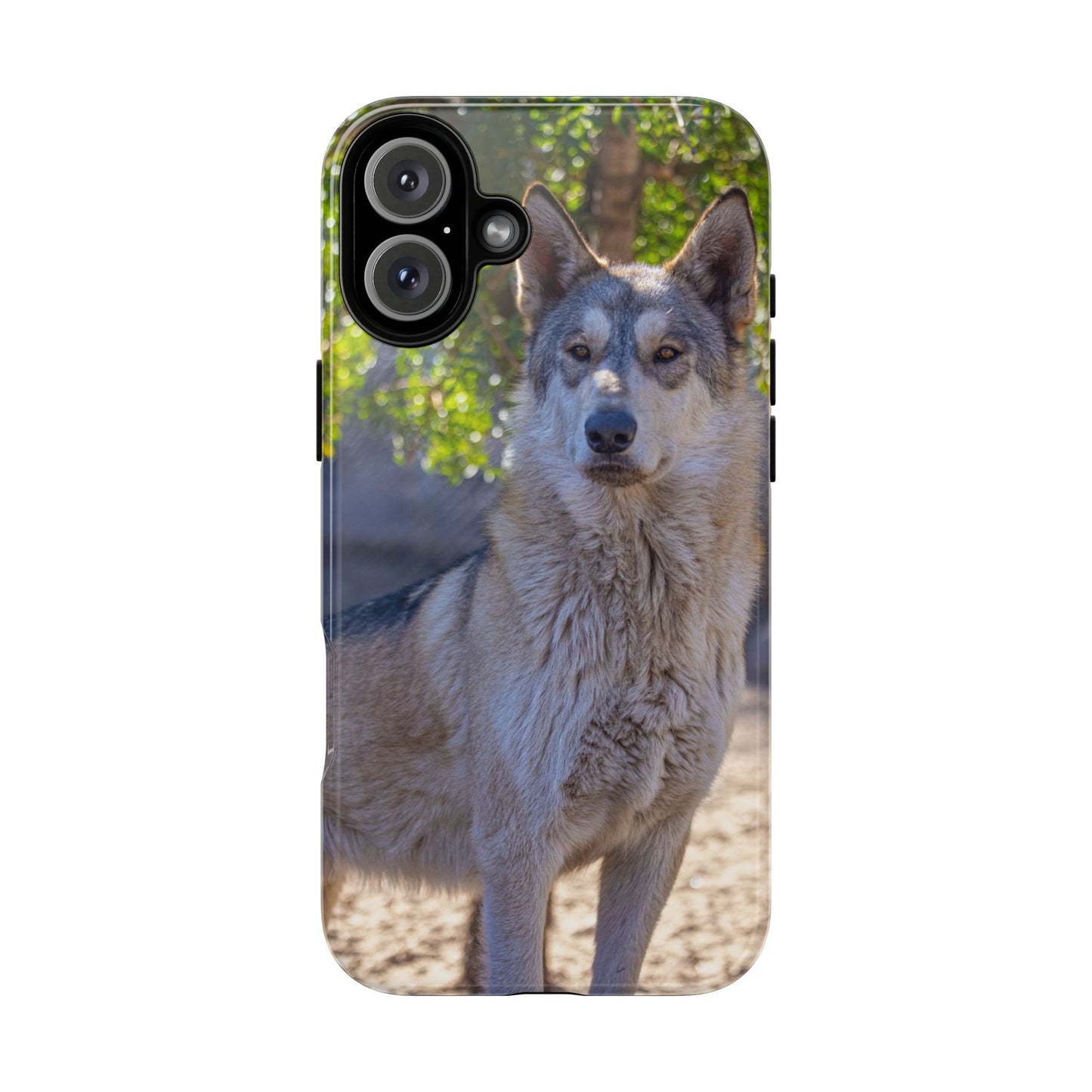 Rome Phone Case