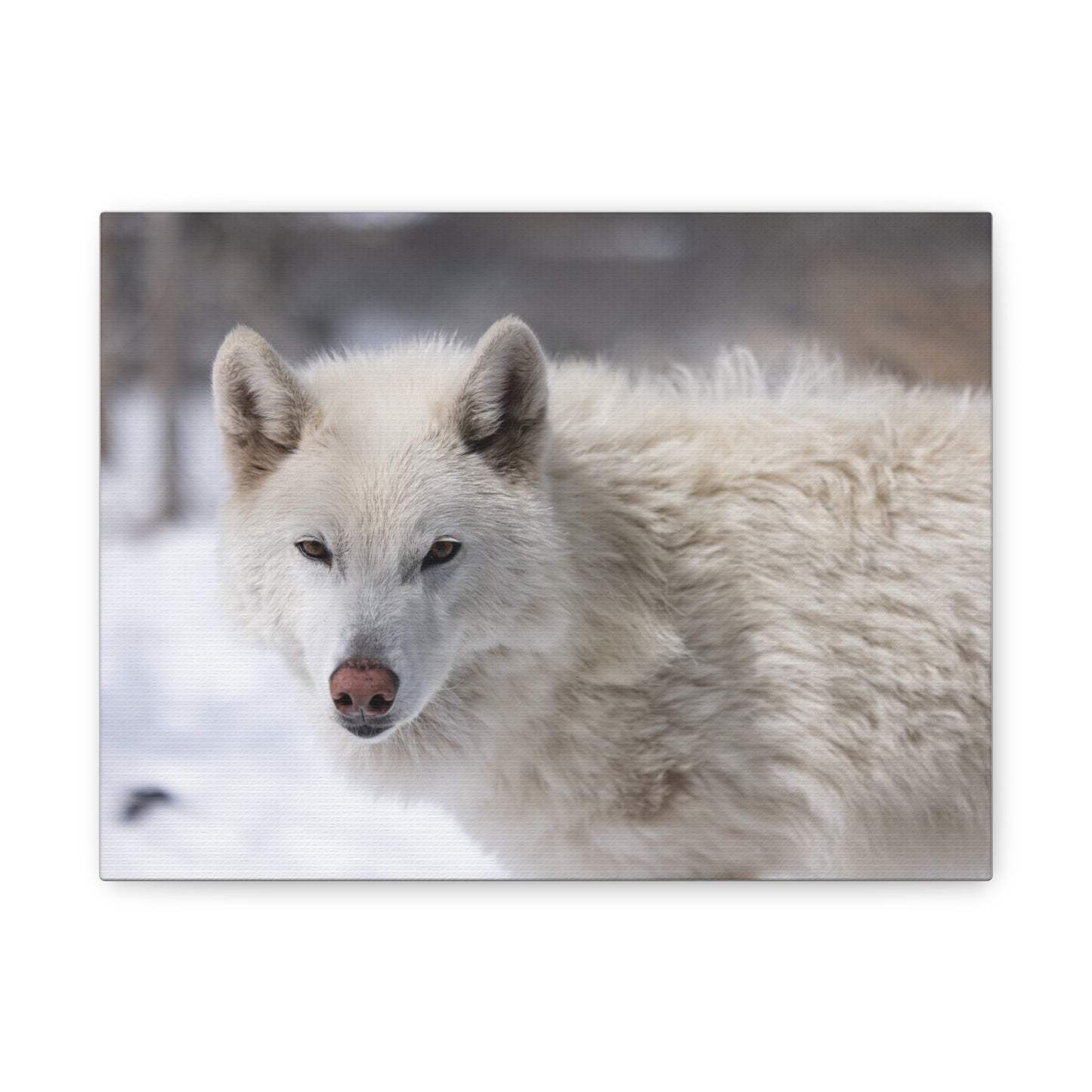 Annie Canvas Print