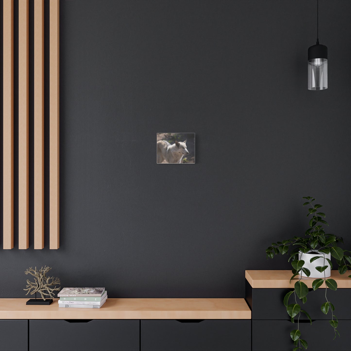 Beo Canvas Print