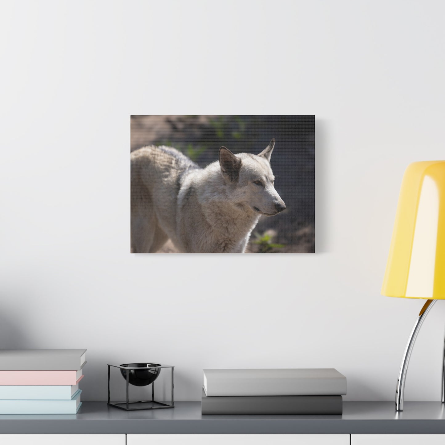 Beo Canvas Print