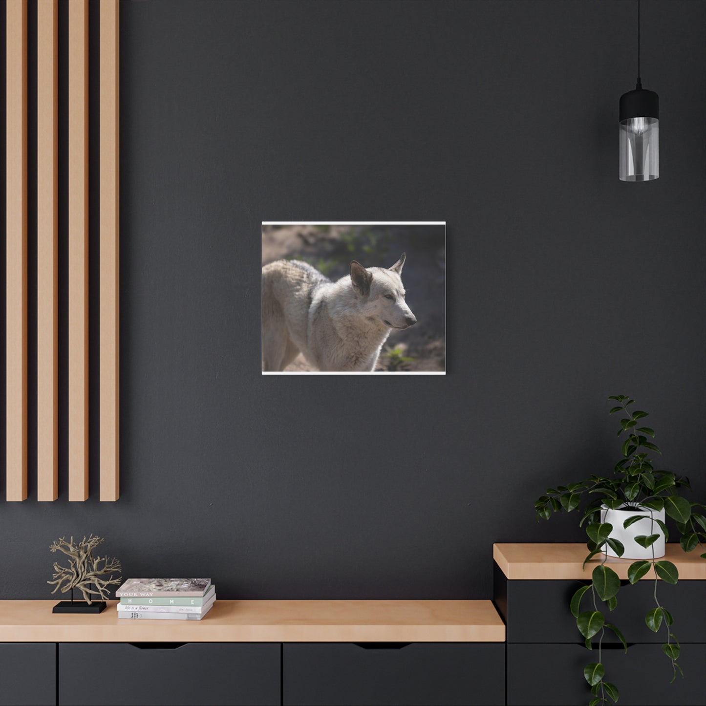 Beo Canvas Print