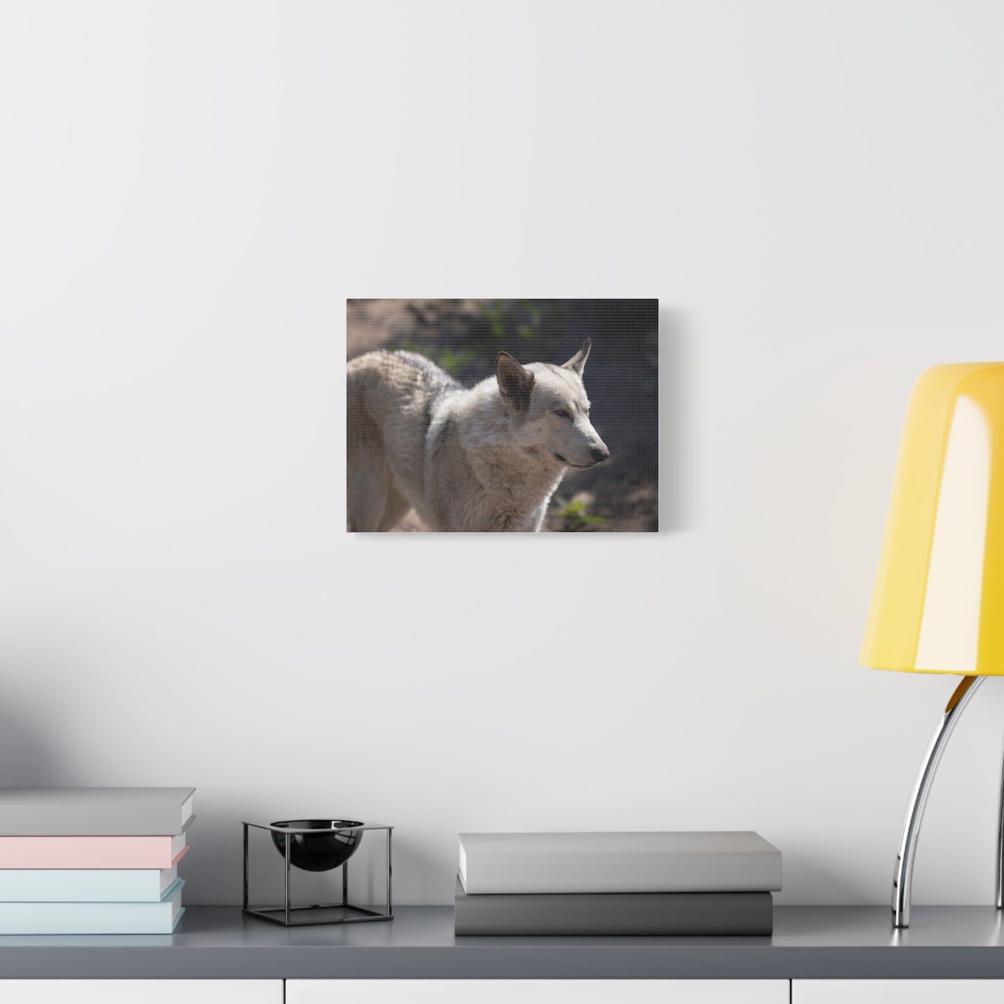 Beo Canvas Print
